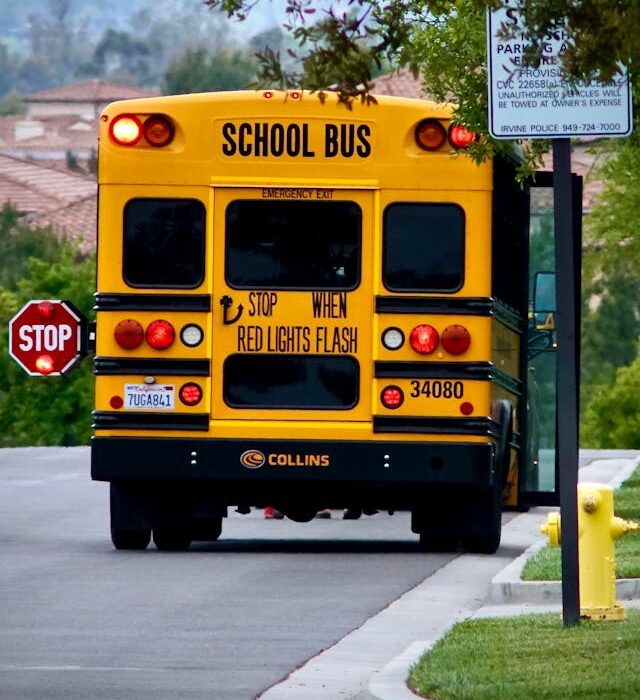 school bus stop arm monitoring